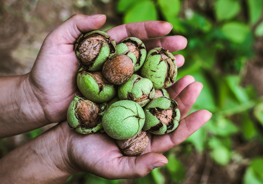 Wet v Dry Walnuts