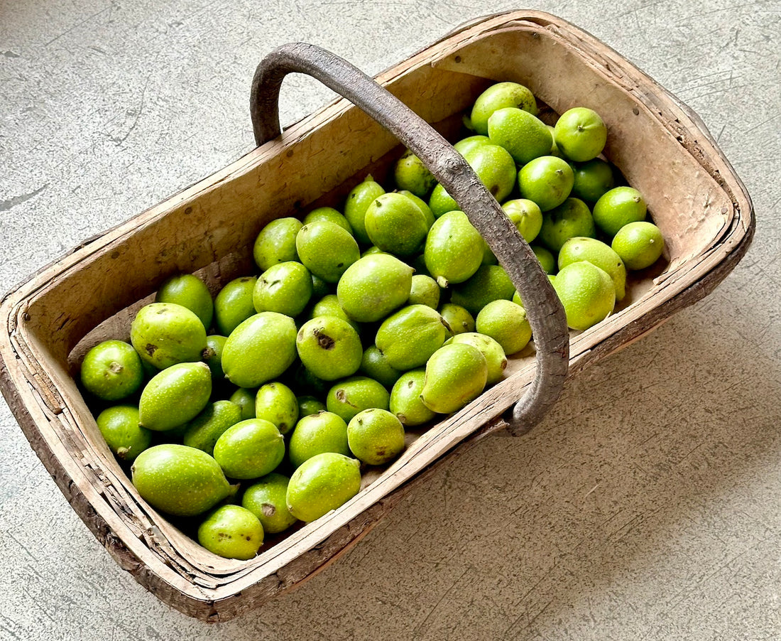 Our Annual Organic Green Walnut Harvest