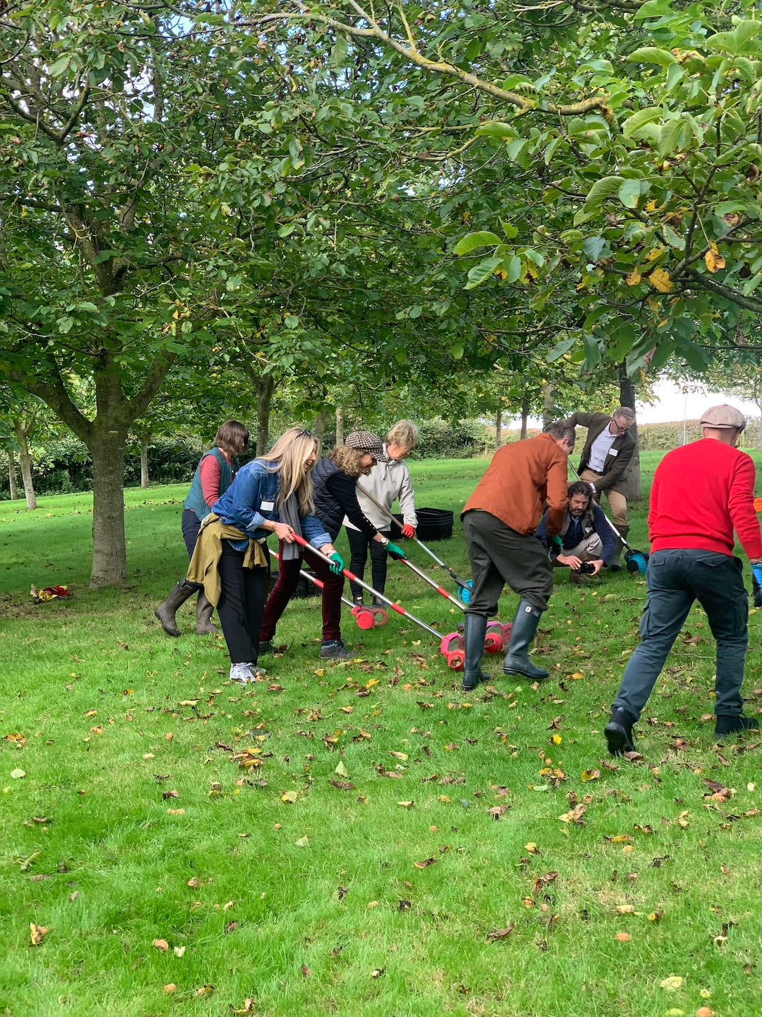 BBC Radio Somerset ft Sharpham Park Annual Walnut Harvest