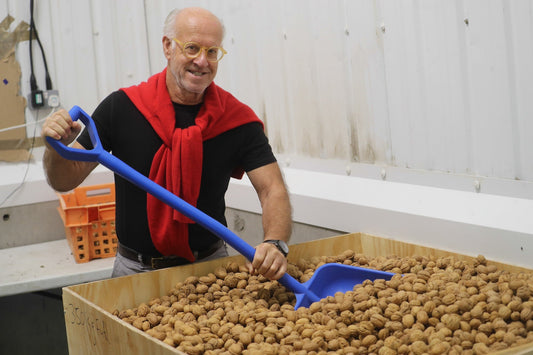 Roger Walnuts