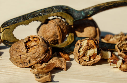 The Rich History of Walnuts