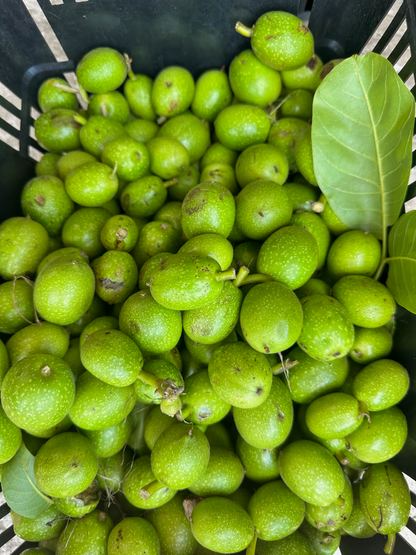 Pickled Walnuts